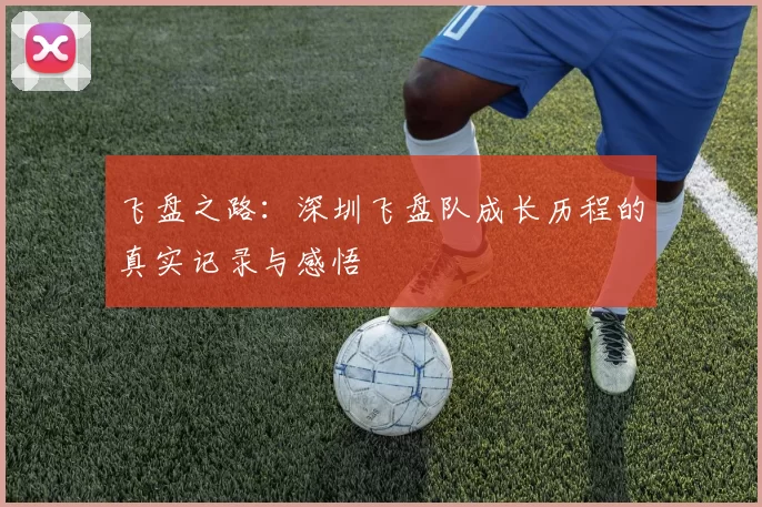 飞盘之路：深圳飞盘队成长历程的真实记录与感悟