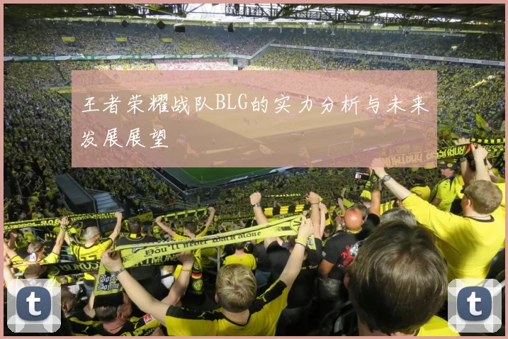 王者荣耀战队BLG的实力分析与未来发展展望
