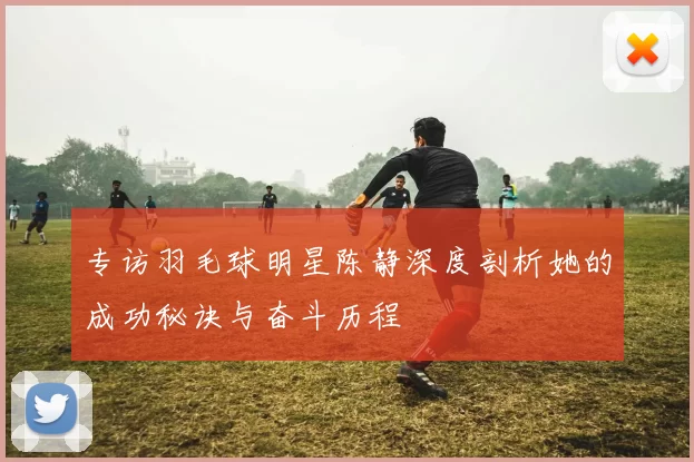 专访羽毛球明星陈静深度剖析她的成功秘诀与奋斗历程