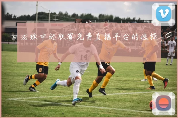 龙珠中超联赛免费直播平台的选择