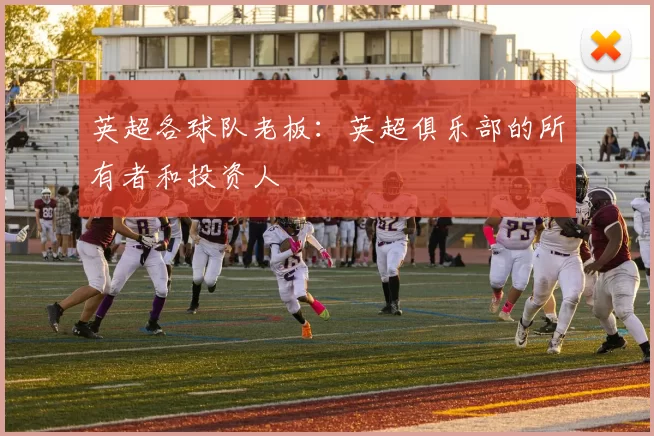 英超各球队老板：英超俱乐部的所有者和投资人