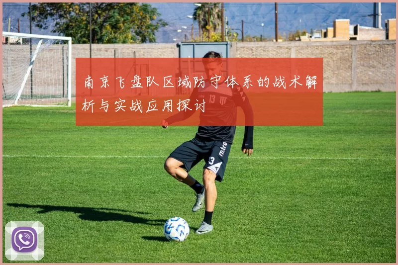 南京飞盘队区域防守体系的战术解析与实战应用探讨