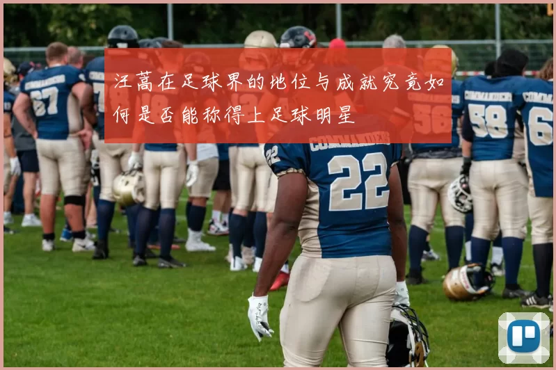 汪蒿在足球界的地位与成就究竟如何是否能称得上足球明星