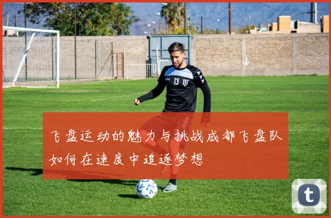 飞盘运动的魅力与挑战成都飞盘队如何在速度中追逐梦想