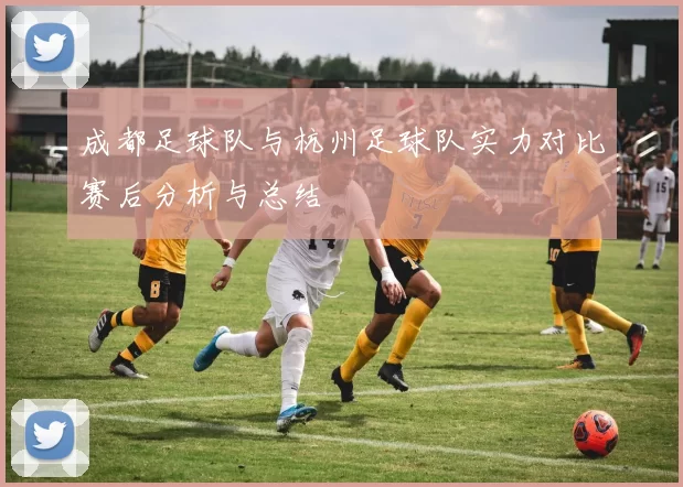 成都足球队与杭州足球队实力对比赛后分析与总结