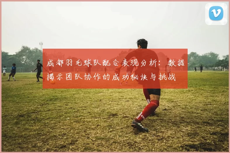 成都羽毛球队配合表现分析：数据揭示团队协作的成功秘诀与挑战