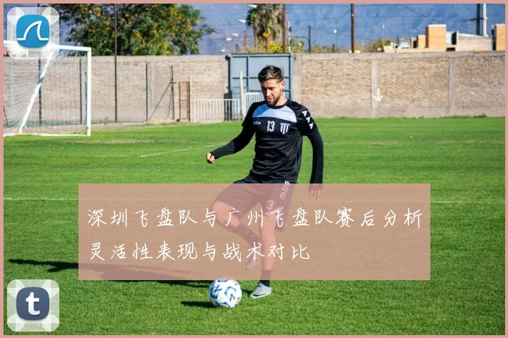 深圳飞盘队与广州飞盘队赛后分析灵活性表现与战术对比