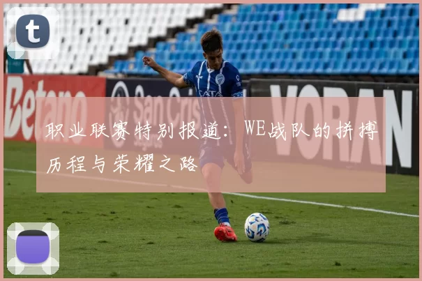 职业联赛特别报道：WE战队的拼搏历程与荣耀之路