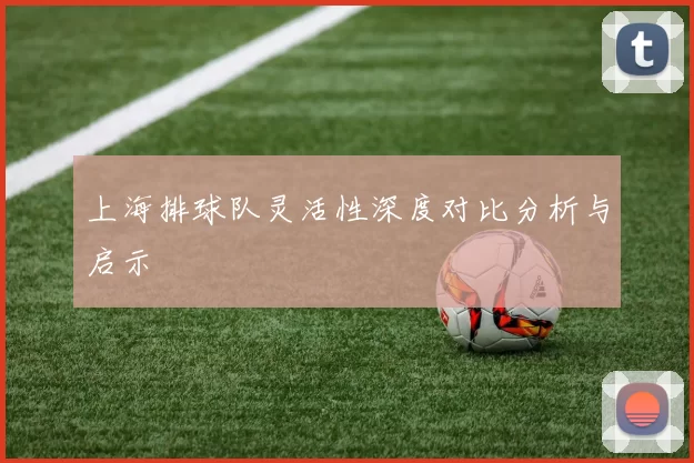 上海排球队灵活性深度对比分析与启示