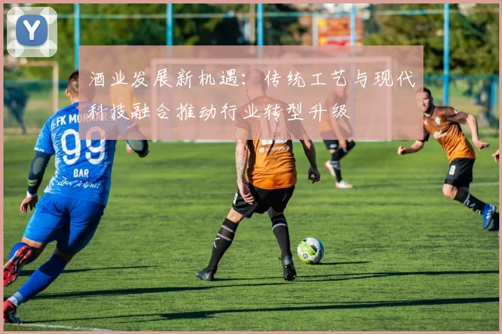 酒业发展新机遇：传统工艺与现代科技融合推动行业转型升级