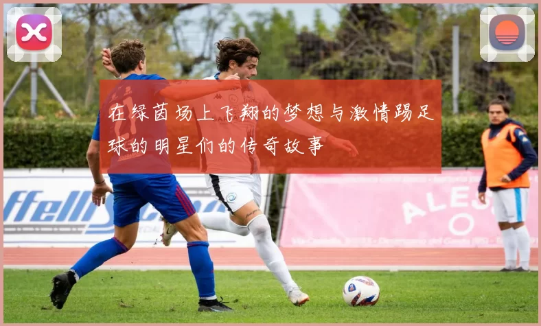 在绿茵场上飞翔的梦想与激情踢足球的明星们的传奇故事