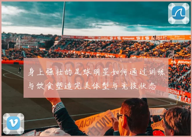 身上强壮的足球明星如何通过训练与饮食塑造完美体型与竞技状态