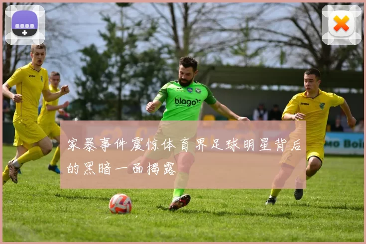 家暴事件震惊体育界足球明星背后的黑暗一面揭露