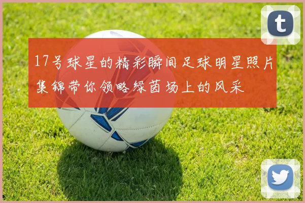 17号球星的精彩瞬间足球明星照片集锦带你领略绿茵场上的风采