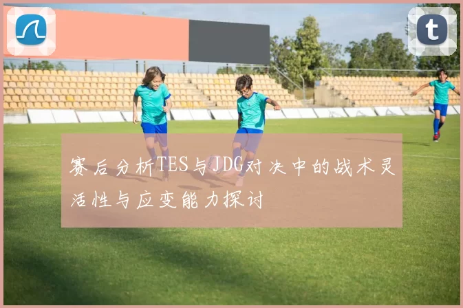赛后分析TES与JDG对决中的战术灵活性与应变能力探讨